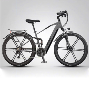 Xe đạp điện trợ lực Phoenix M19