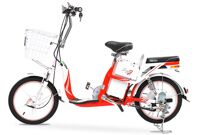Xe đạp điện Zinger Color 2