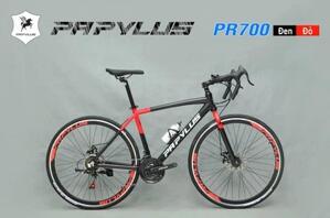 Xe đạp đua PAPYLUS PR700