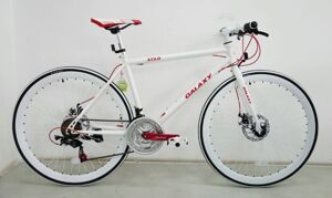 Xe đạp Fixed Gear 2015 Galaxy XT3.0