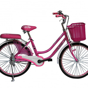 Xe đạp thời trang SMNBike MN 24-01