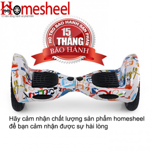 Xe điện Homesheel R10-2 USA