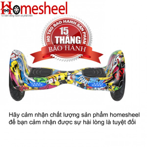 Xe điện Homesheel R10-3 USA