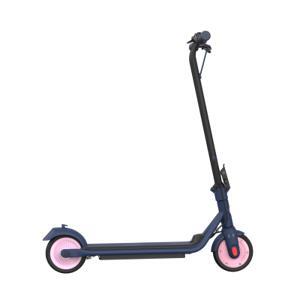 Xe điện Scooter Segway Ninebot C15