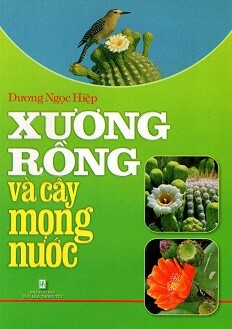 Xương Rồng Và Cây Mọng Nước