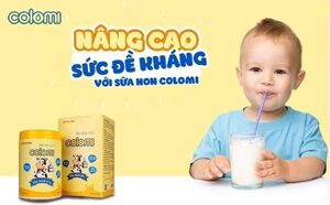 10 hộp sữa non Colomi - 200gr