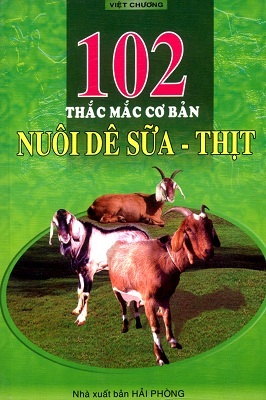 102 Thắc Mắc Cơ Bản Nuôi Dê Sữa Thịt