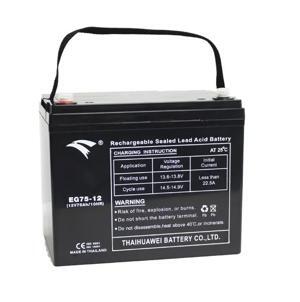 Ắc quy 12V-75Ah EAGLE EG75-12