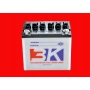 Ắc quy 3K N50 nước (12v – 50ah)