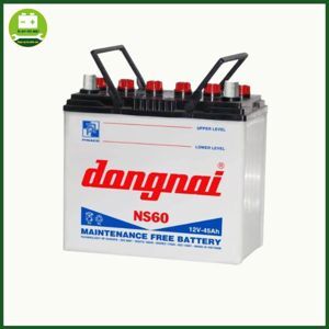 Ắc quy Đồng Nai NS60R/L (12V-45AH)