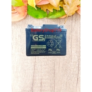 Ắc Quy GS GTZ5S-E (12V-3.5Ah)