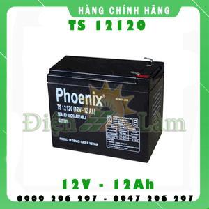 Ắc quy Phoenix TS12120 (12V-12Ah)