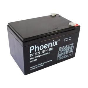 Ắc quy Phoenix TS12120 (12V-12Ah)
