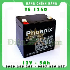 Ắc quy Phoenix 12V- 4.5Ah TS1250