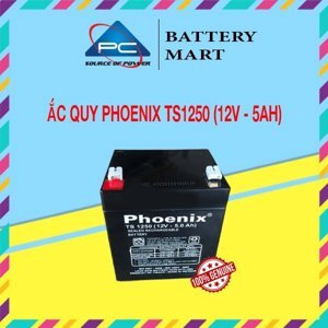 Ắc quy Phoenix 12V- 4.5Ah TS1250