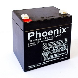 Ắc quy Phoenix 12V- 4.5Ah TS1250