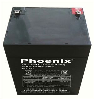 Ắc quy Phoenix 12V- 4.5Ah TS1250