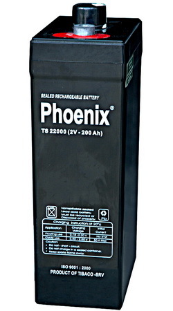 Ắc quy Phoenix 2V-100Ah TS21000