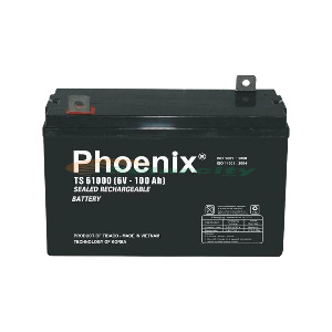 Ắc quy Phoenix 2v-100ah TS61000