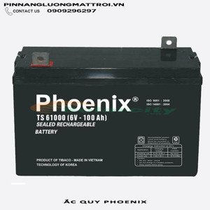 Ắc quy Phoenix 2v-100ah TS61000