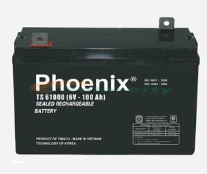 Ắc quy Phoenix 2v-100ah TS61000