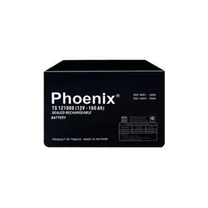 Ắc quy Phoenix 2v-100ah TS61000