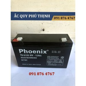 Ắc quy Phoenix TS6120 6V-12AH