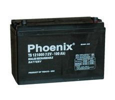 Ắc quy Phoenix TS121000