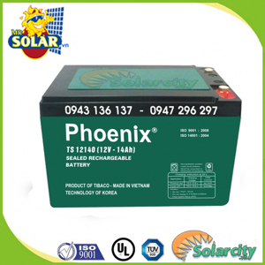 Ắc quy Phoenix TS12140