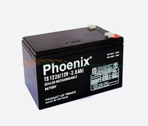 Ắc quy Phoenix TS1228