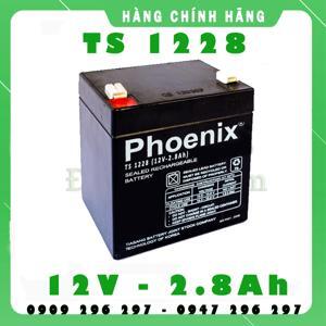 Ắc quy Phoenix TS1228