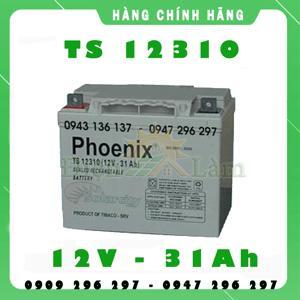 Ắc quy Phoenix TS12310