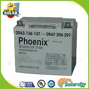 Ắc quy Phoenix TS12310