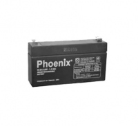 Ắc quy Phoenix TS612