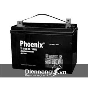 Ắc quy Phoenix TS61500