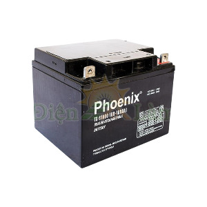 Ắc quy Phoenix TS61800