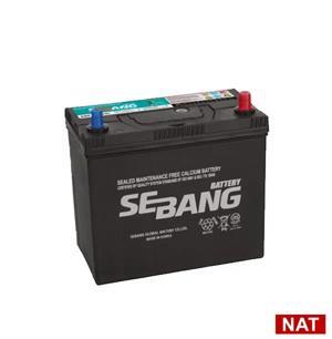 Ắc quy Sebang 110AH DIN 61042