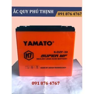 Ắc quy xe đạp điện Yamato 12V 30Ah, 6-DZF-30