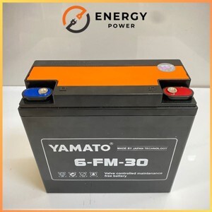 Ắc quy xe đạp điện Yamato 12V 30Ah, 6-DZF-30