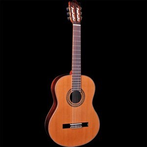 Đàn Guitar Adonis Classical C238