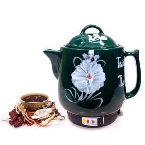 Ấm sắc thuốc Trường Thọ BA86 (BA-86) - 2.8 lít, 450W