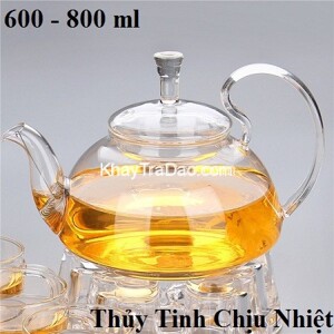 Ấm trà thủy tinh Zeno ATT02 550ML