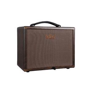 Ampli Guitar Acoustic AGA SC-X3P