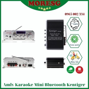 Amplifier mini Karaoke Kentiger HY 803