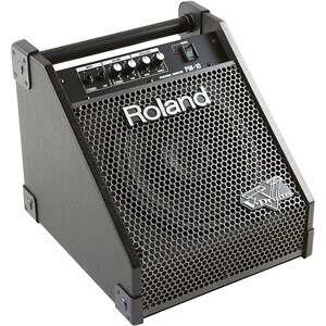 Amply - Amplifier Roland PM10 (PM-10)