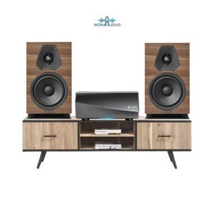 Amply Denon HEOS Amp HS2