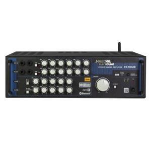 Amply Jarguar Suhyoung PA-503AB