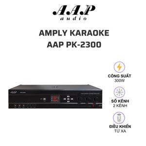 Amply karaoke AAP PK-2300