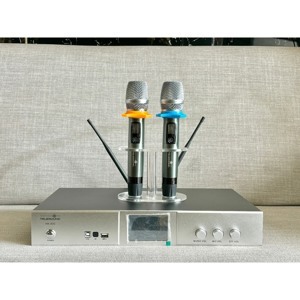 Amply Truesound HK-600