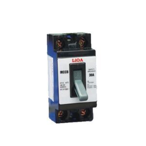 Aptomat 2P lắp nổi dòng điện 10A LiOA MCCB2P1E/10A